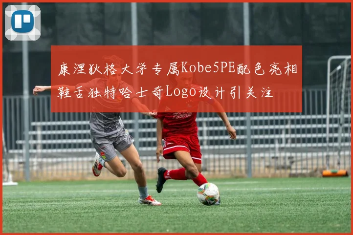 康涅狄格大学专属Kobe5PE配色亮相鞋舌独特哈士奇Logo设计引关注
