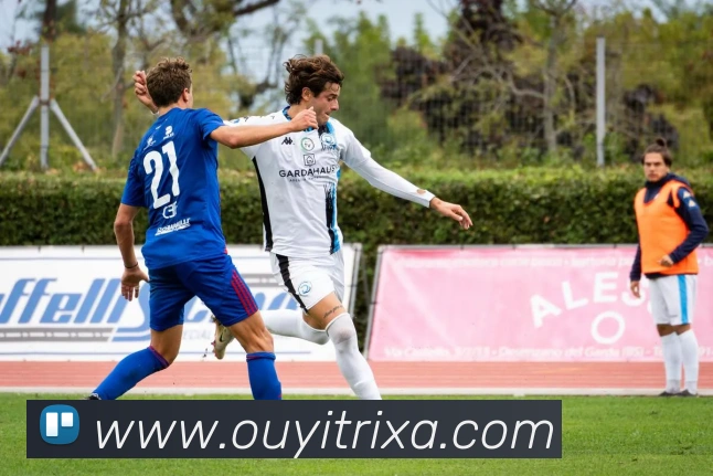 App Interface Preview